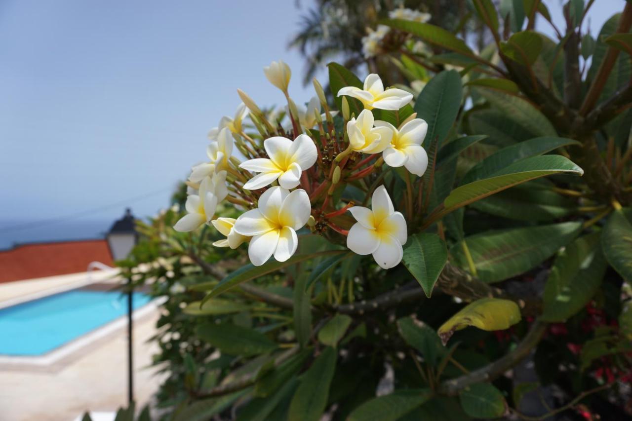 Finca La Romera Ла Оротава Екстериор снимка